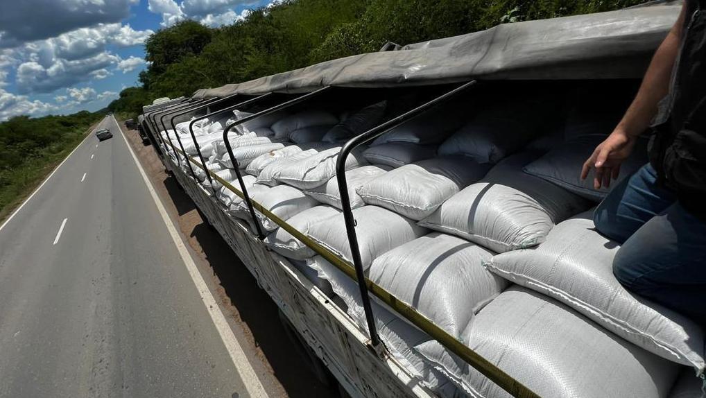 La Aduana detectó alpiste y otros cereales de contrabando en el norte del país.