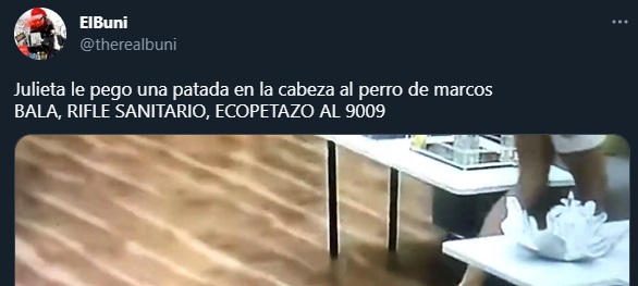 En las redes creyeron que Julieta había pisado al cachorro. 