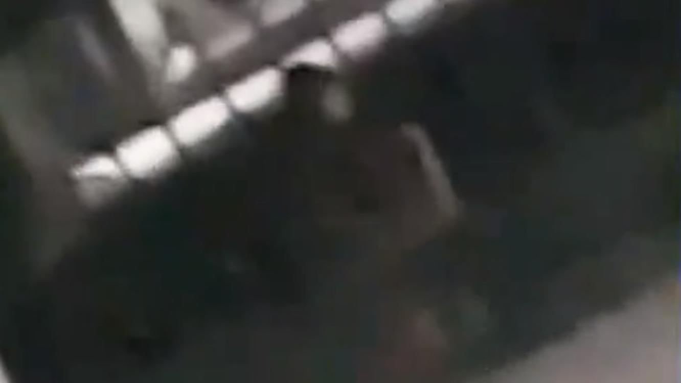 La aterradora imagen se vió en el cementerio de Lanús (Captura de video).