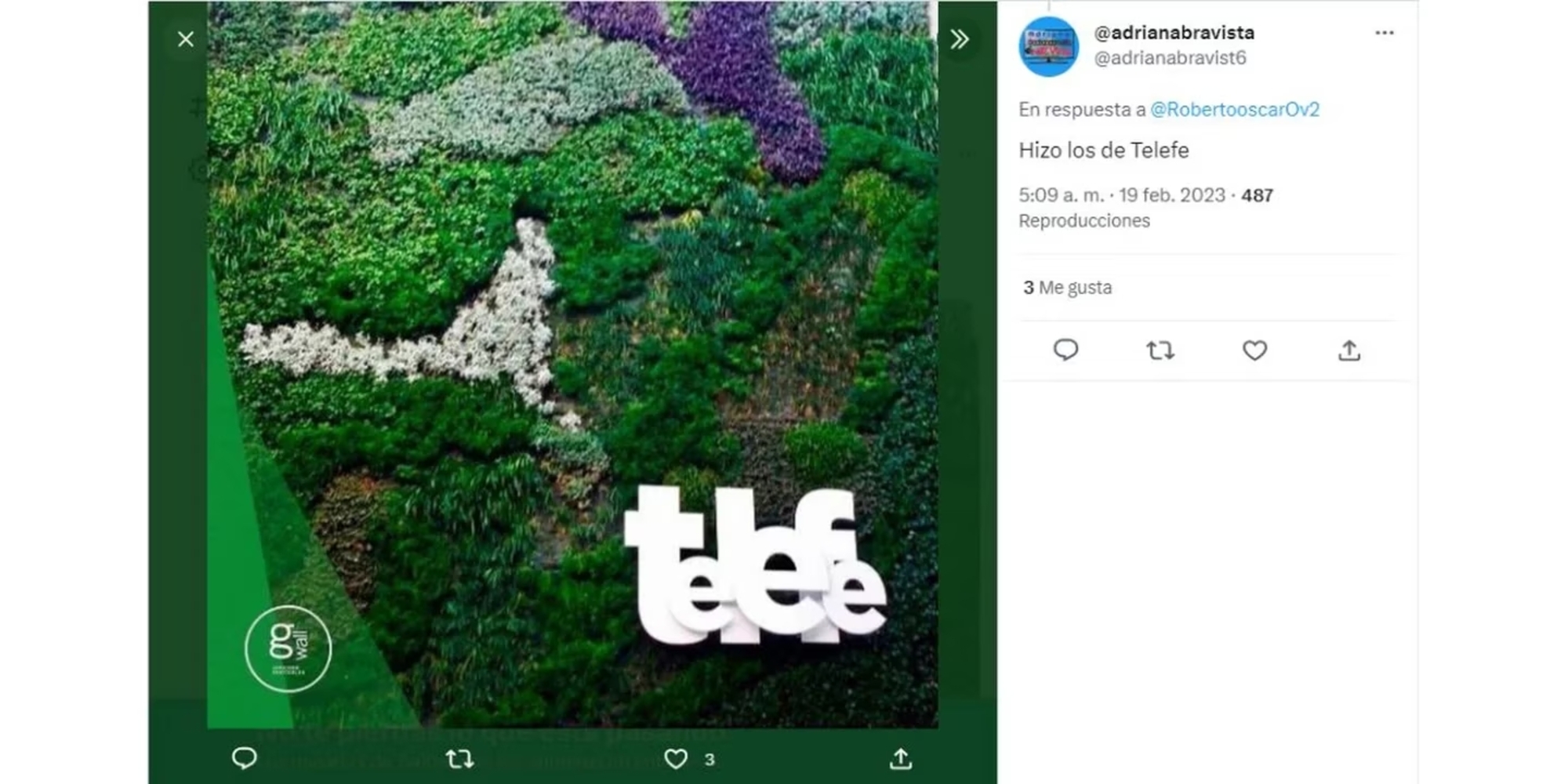 Al parecer también hizo un jardín para una de las ediciones que se realizó en Telefe.