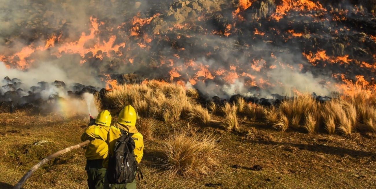 En Río Negro y Buenos Aires los focos de incendio fueron controlados.