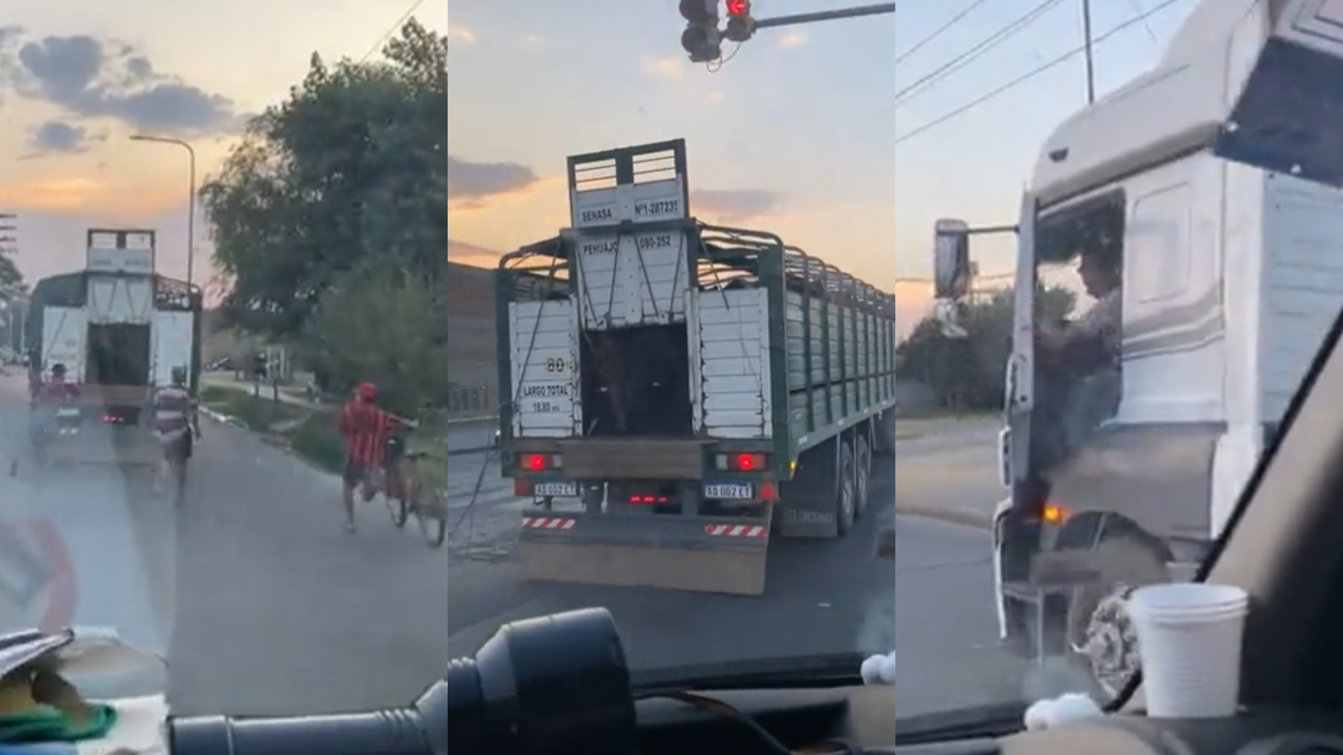 El camionero que transportaba 31 vacas había recibido amenazas.