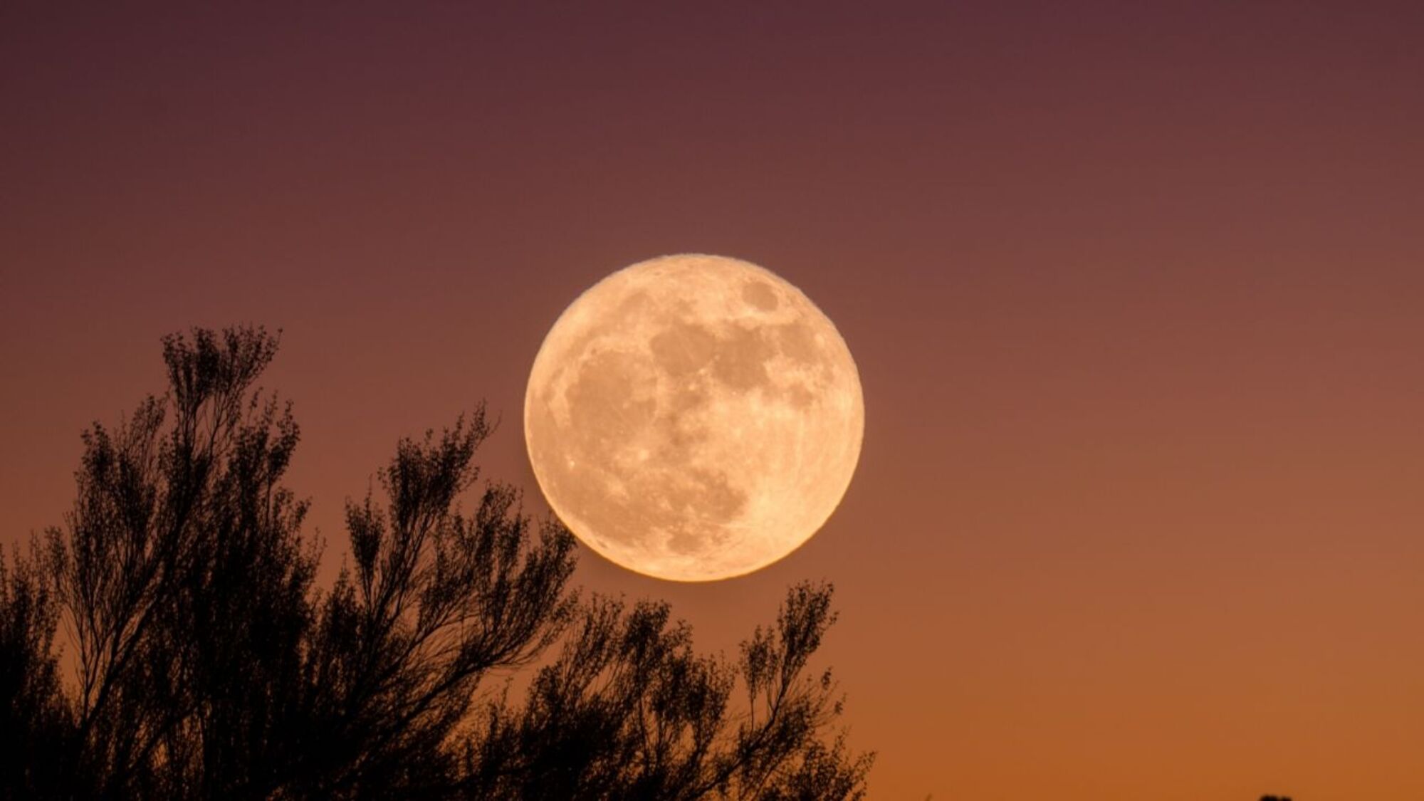 La Luna es uno de los astros que mayor influencia tiene sobre el destino de los signos del zodiaco. 