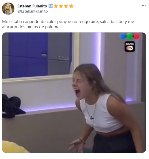 Los mejores memes tras la invasión de bichos negros en el   <a href='https://www.cronica.com.ar/tags/AMBA'>AMBA</a> (Twitter)