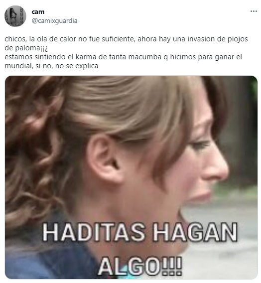 Los mejores memes tras la invasión de bichos negros en el   <a href='https://www.cronica.com.ar/tags/AMBA'>AMBA</a> (Twitter)