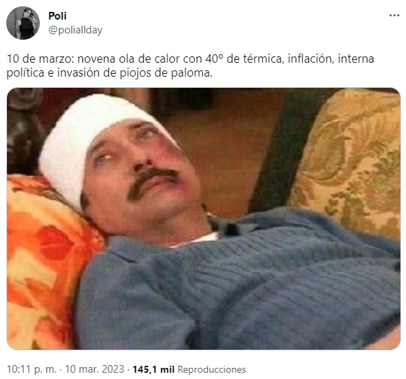 Los mejores memes tras la invasión de bichos negros en el   <a href='https://www.cronica.com.ar/tags/AMBA'>AMBA</a> (Twitter)