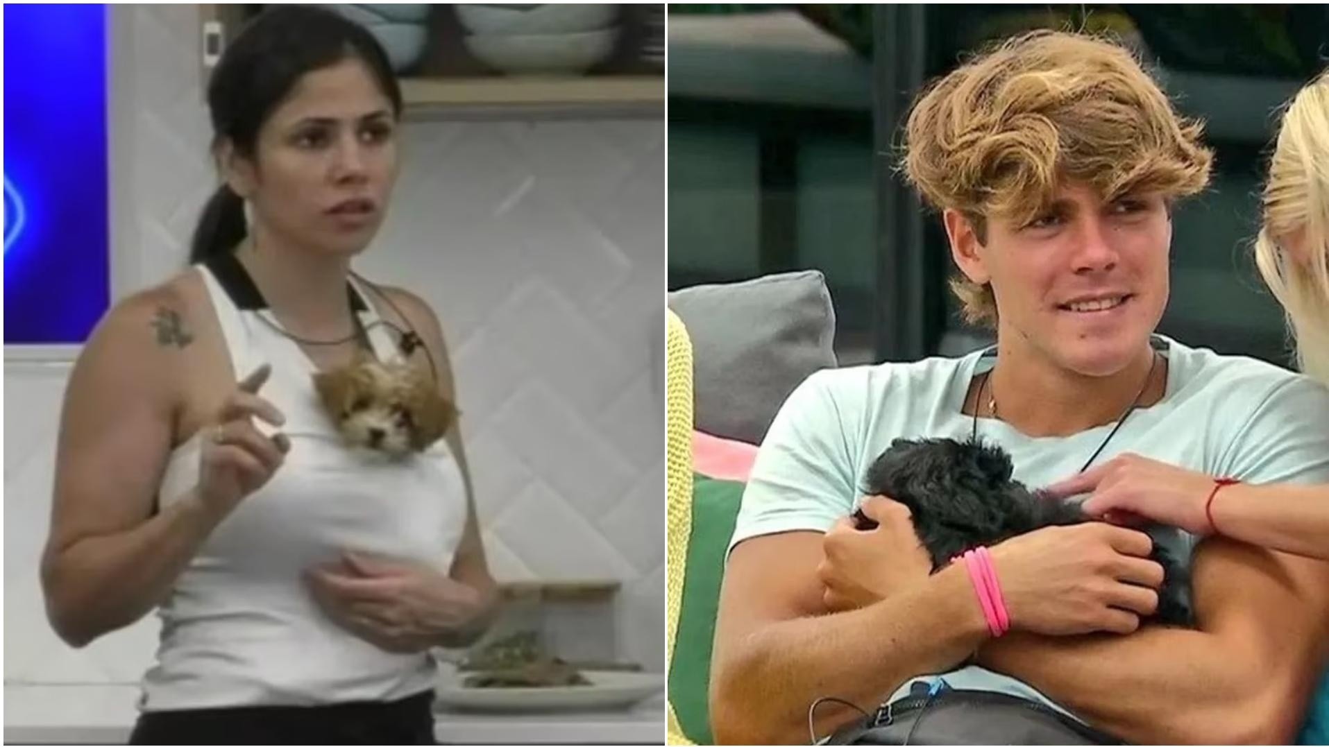 Romina de Gran Hermano planea quedarse con los dos perritos.