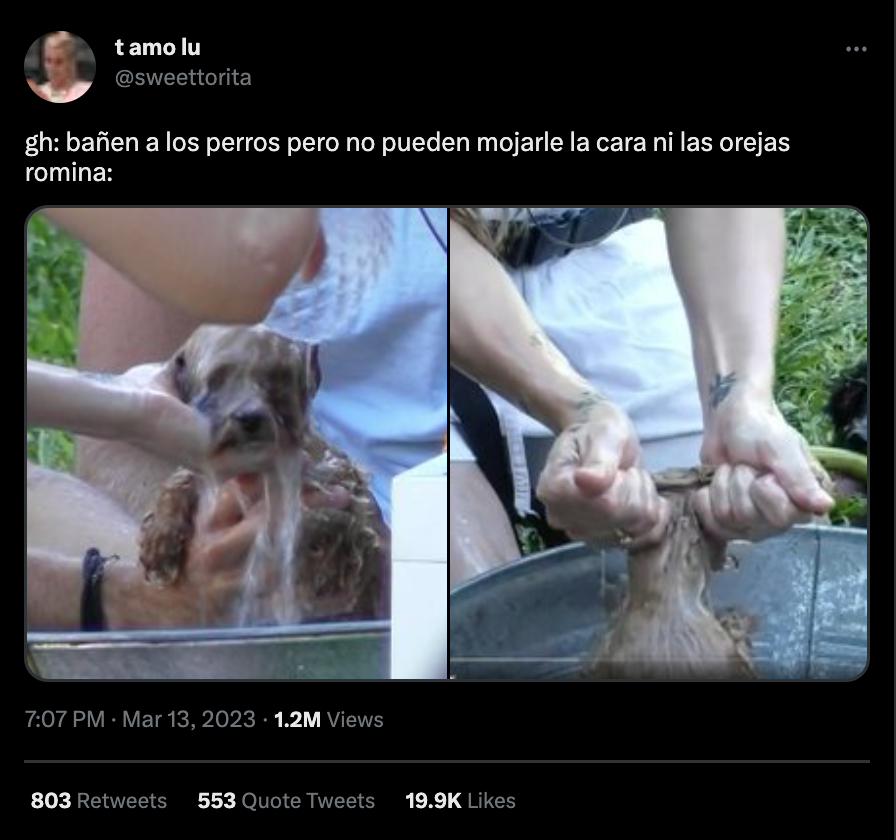 En Twitter 'mataron' a Romina por cómo bañó a Caramelo.