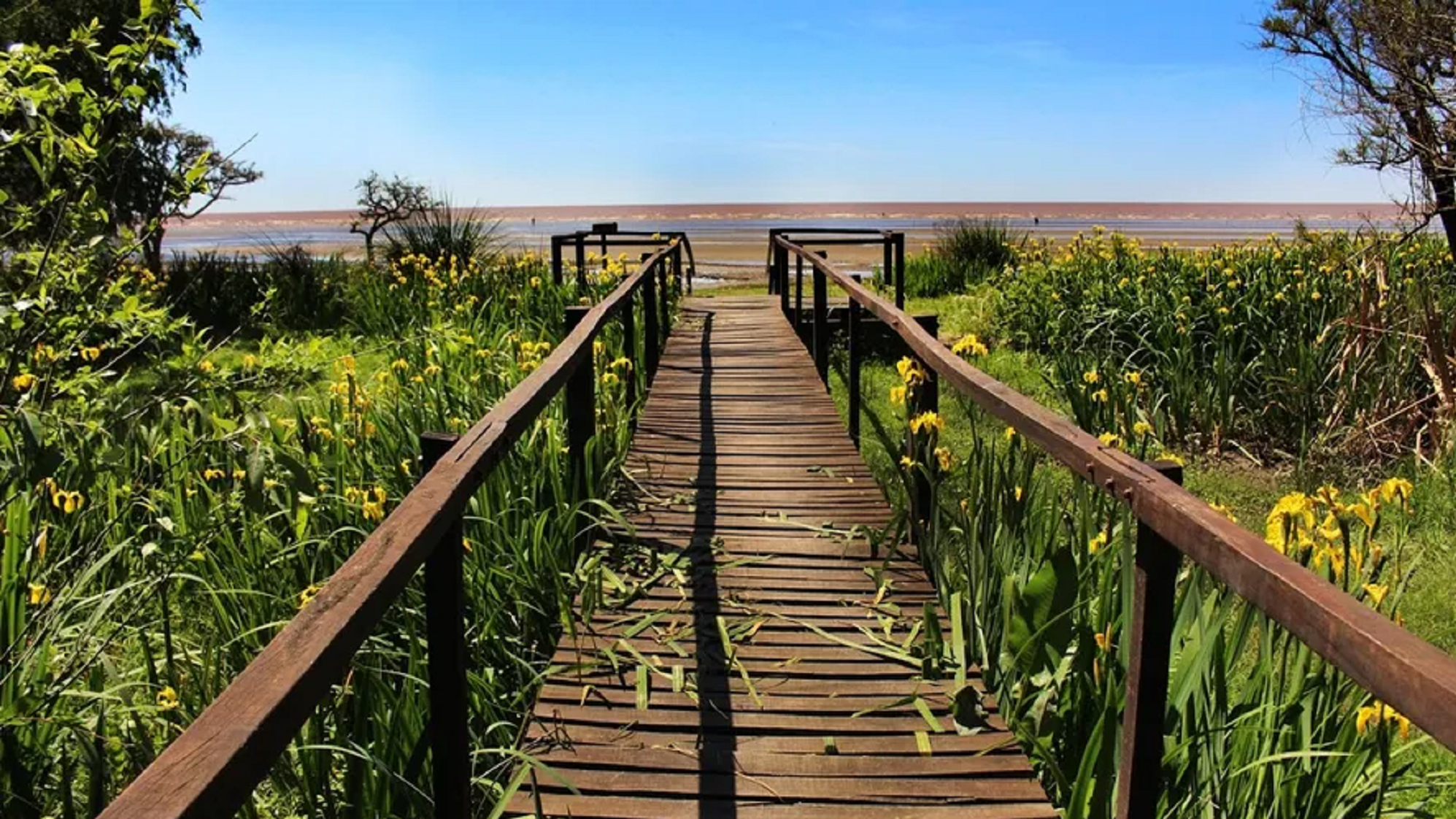 Conocé estos espacios naturales donde la tranquilidad es el principal atractivo.