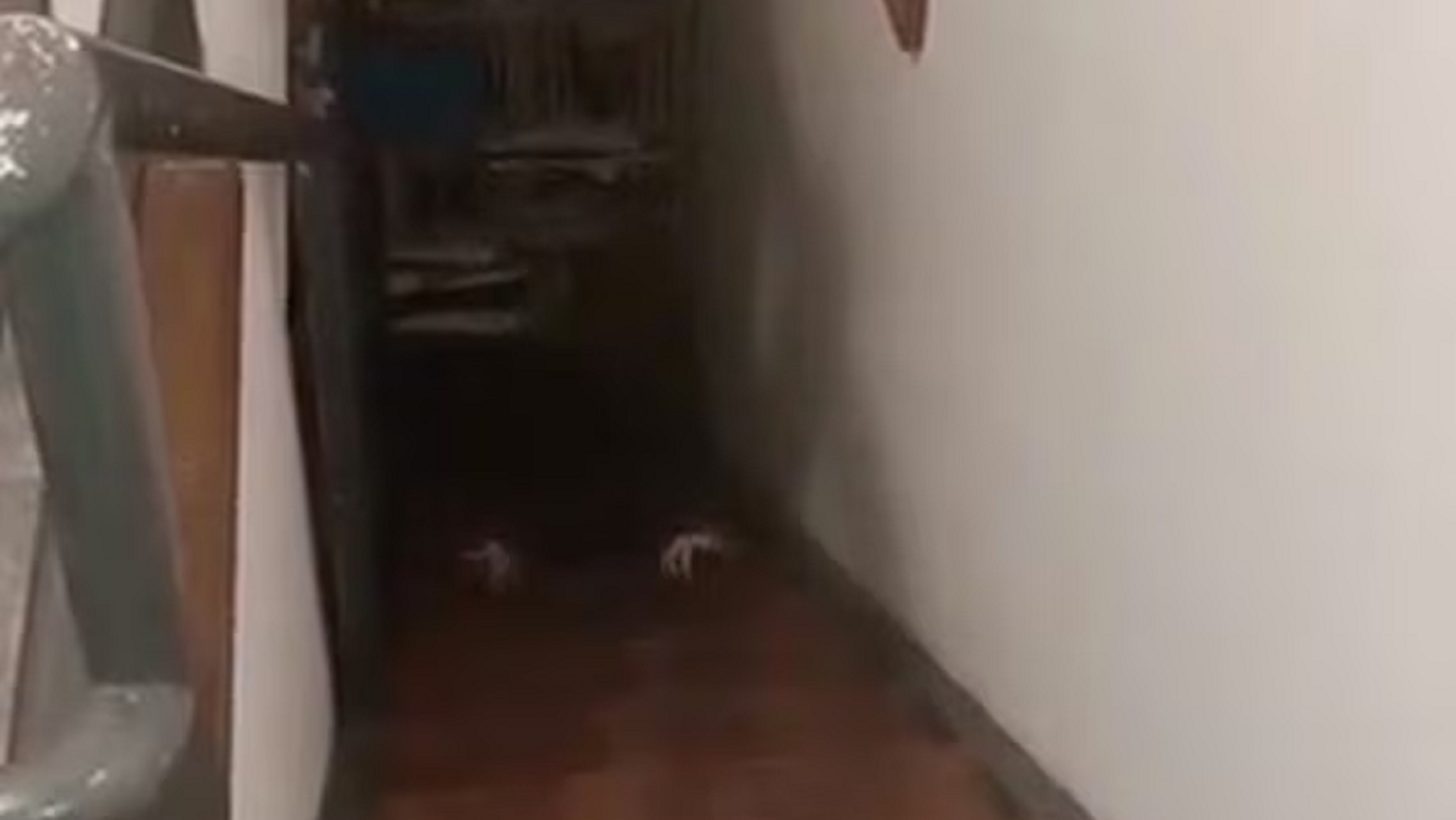 Una usuaria de TikTok grabó un fantasma dentro de su casa y se volvió viral.