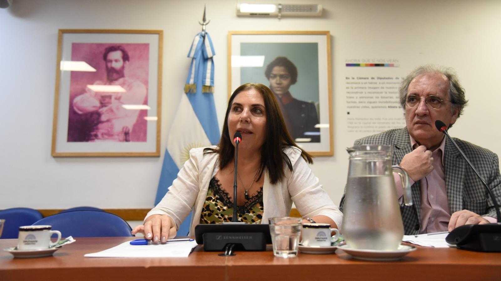 La Comisión de Comercio, que preside la diputada nacional Gabriela Lena.