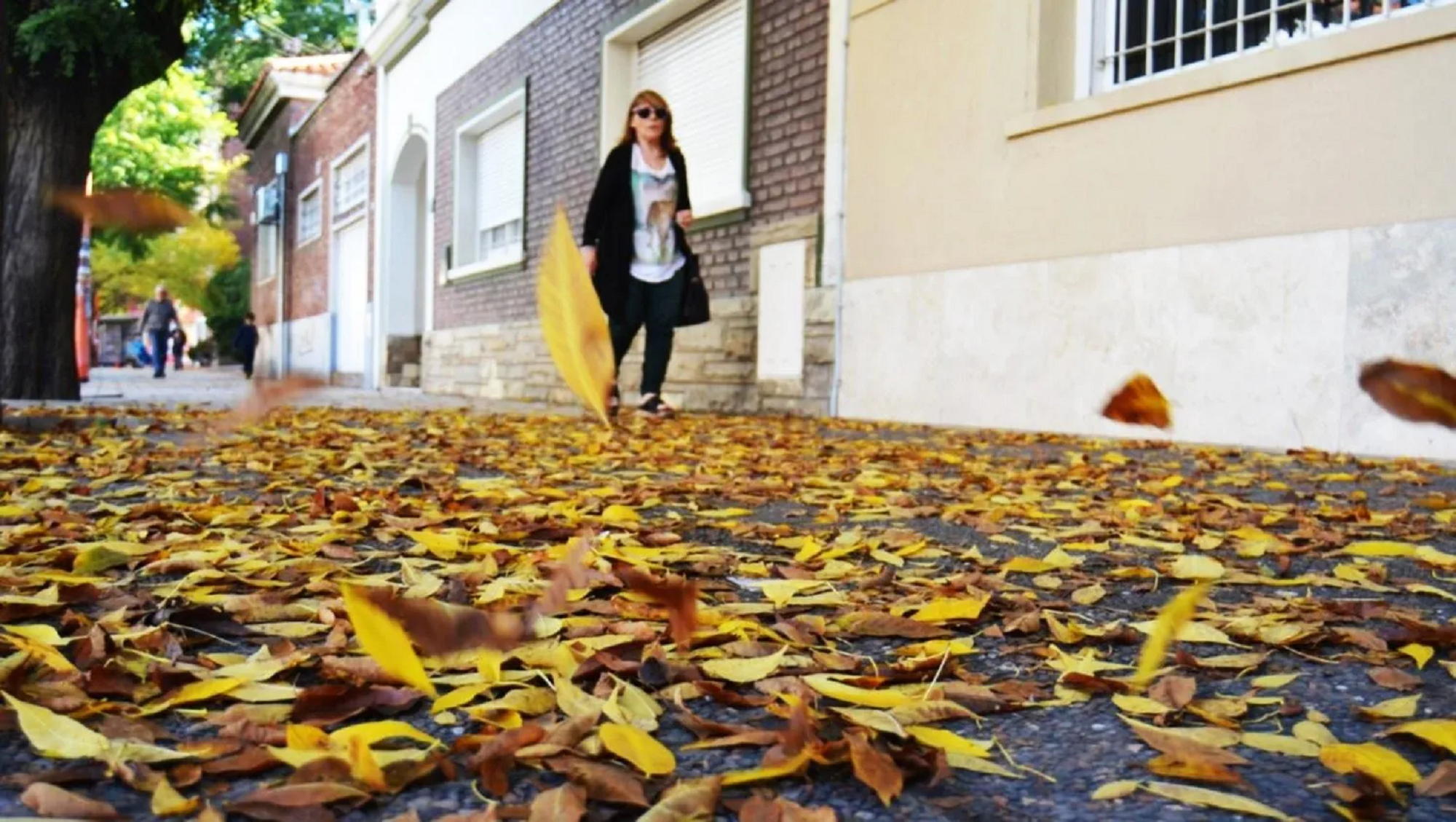 Otoño en Buenos Aires: cuándo baja la temperatura de forma definitiva y termina el calor.