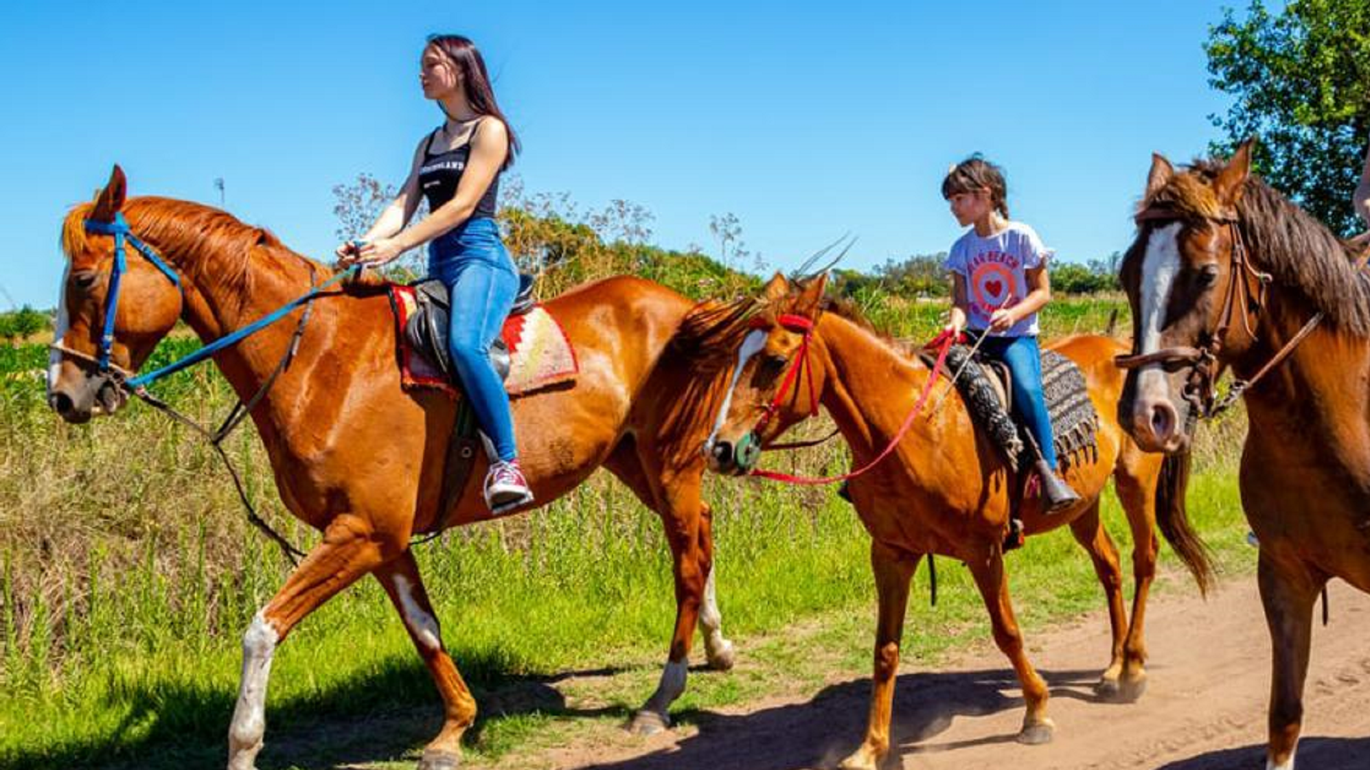 3 localidades para hacer actividades sustentables. 