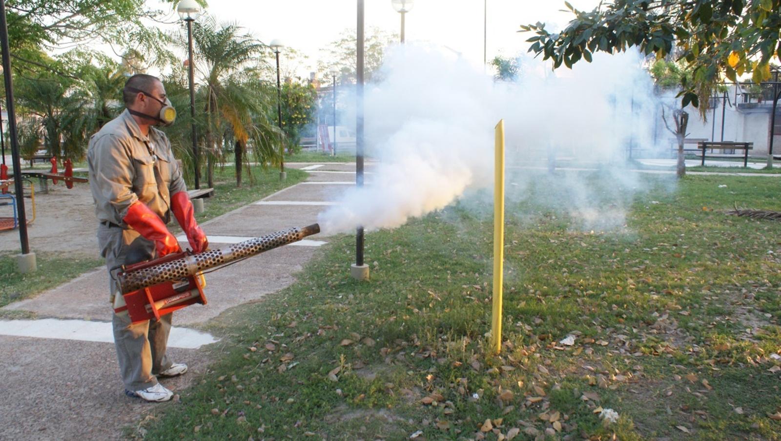 La fumigación es vital para evitar la proliferación de casos de dengue (Crónica/Archivo).