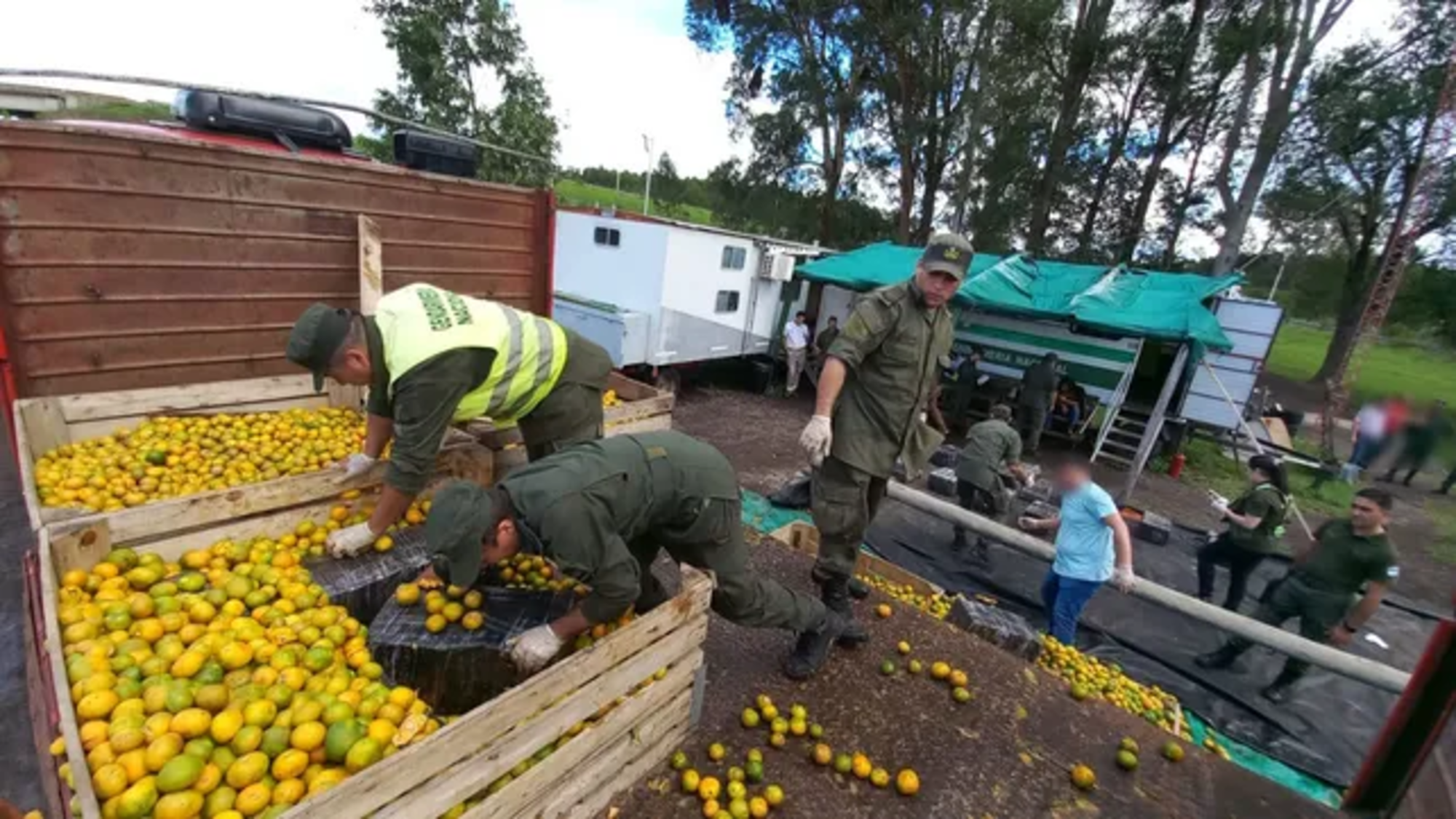 Llevaba mandarinas y escondía casi 2 toneladas de 