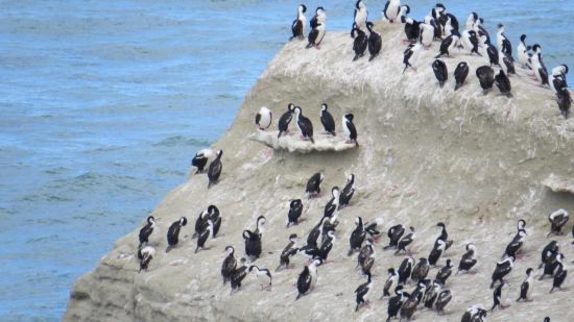 Un lugar increíble para disfrutar de la naturaleza.