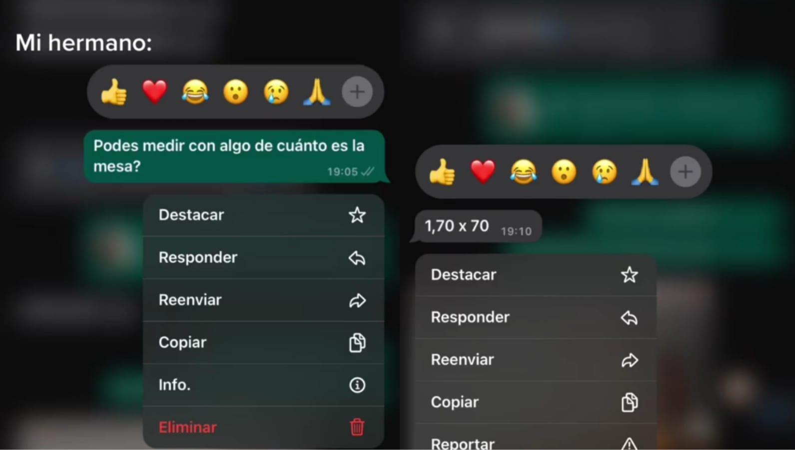 La charla con su hermano que la chica mostró en   <a href='https://www.cronica.com.ar/tags/TikTok'>TikTok</a>.