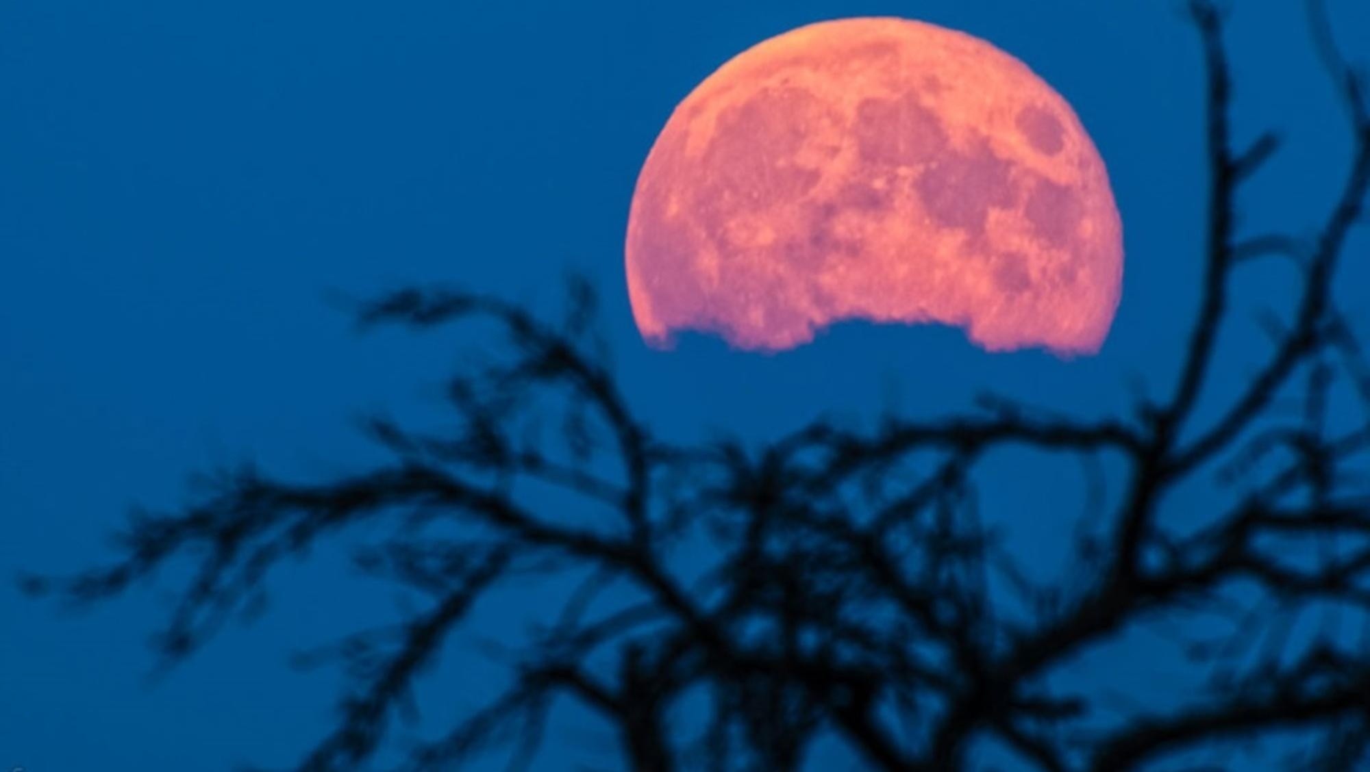 La Luna Rosa 2023 y los signos del zodiaco: uno por uno cómo los afecta.