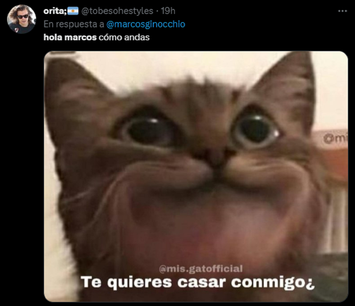 Un meme con un gato, en referencia a Marcos.