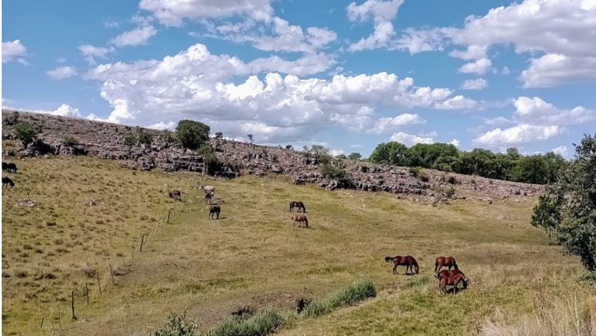 Sierra Bayas: una joyita serrana que vale la pena conocer.  