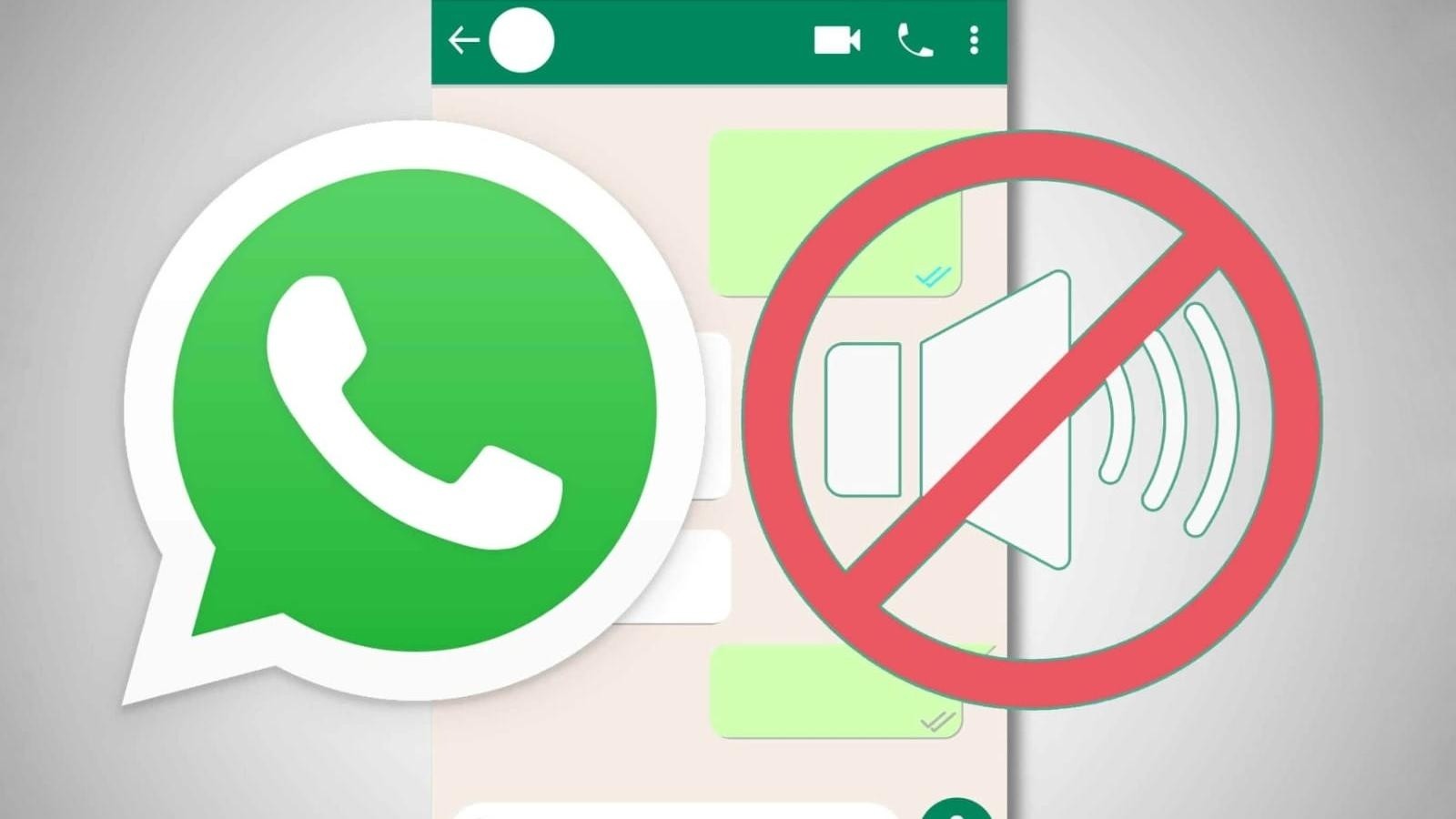 WhatsApp cuenta con una opción para elegir las notificaciones de qué contacto querés que te lleguen. 