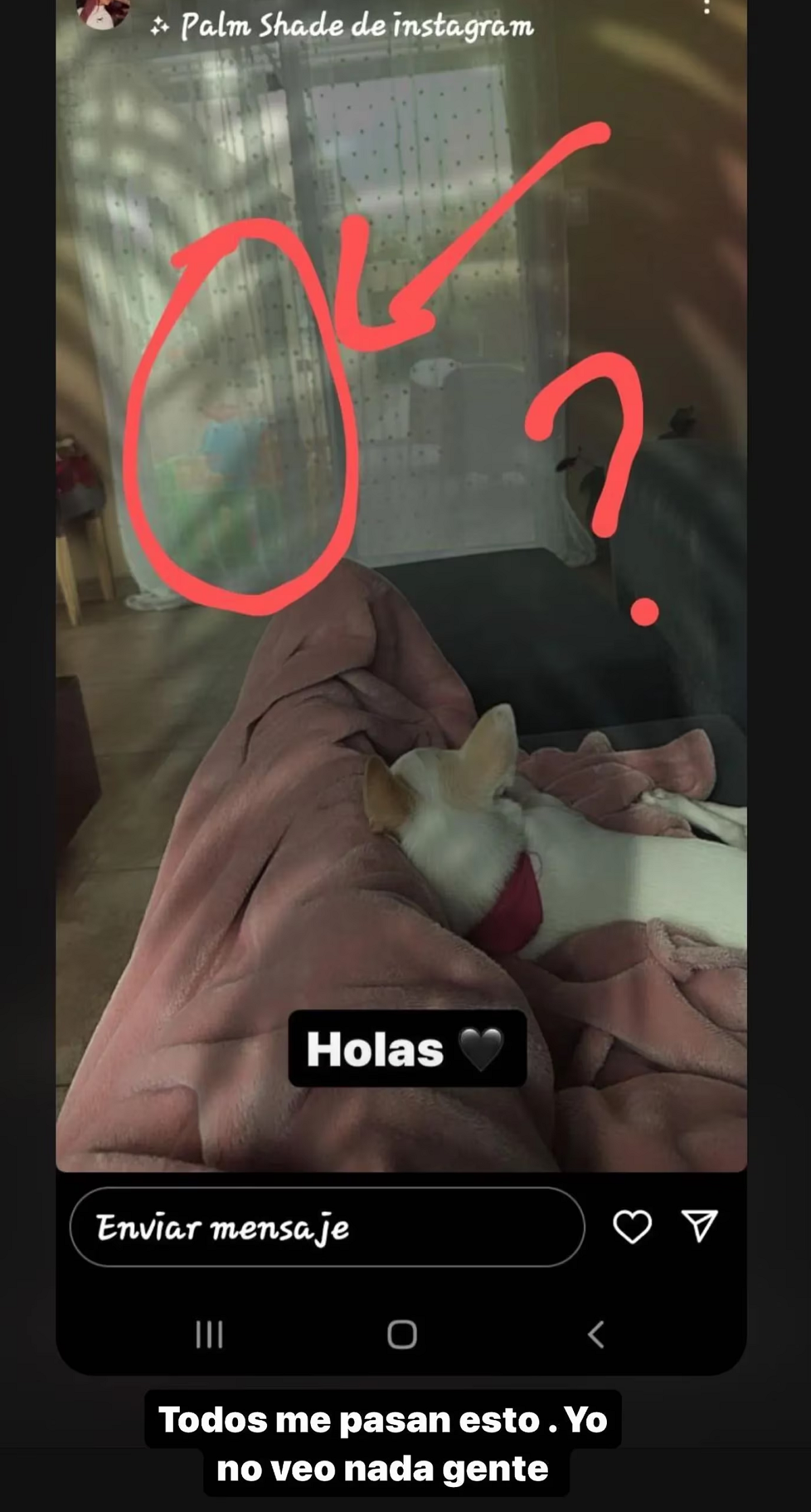 La historia que subió Tamara Báez a su cuenta de Instagram.