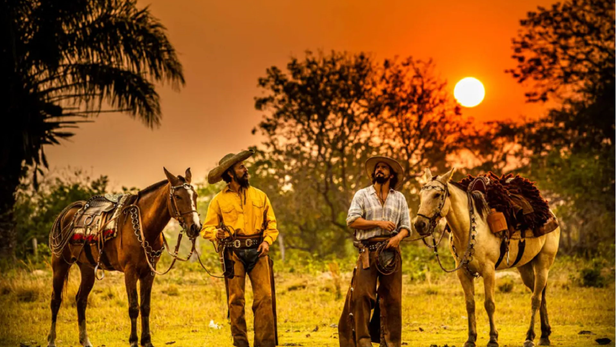 Pantanal: el paraíso brasilero que cobró popularidad con la nueva novela que reemplazo a Gran Hermano.  