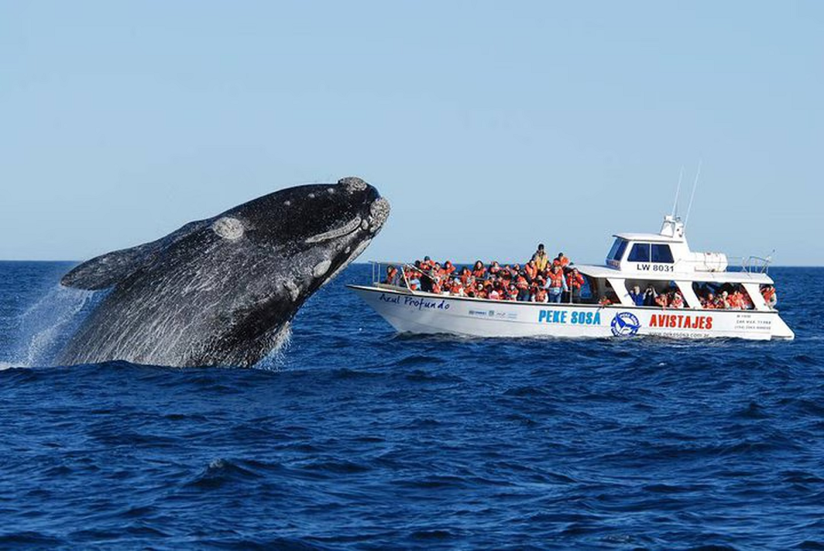 Puerto Madryn tiene aventuras imperdibles.