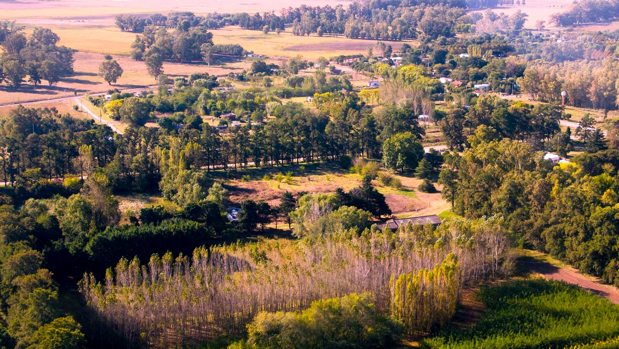 PreViaje: Conocé Cazón, el pueblo del millón de árboles que invita a un descanso diferente.  