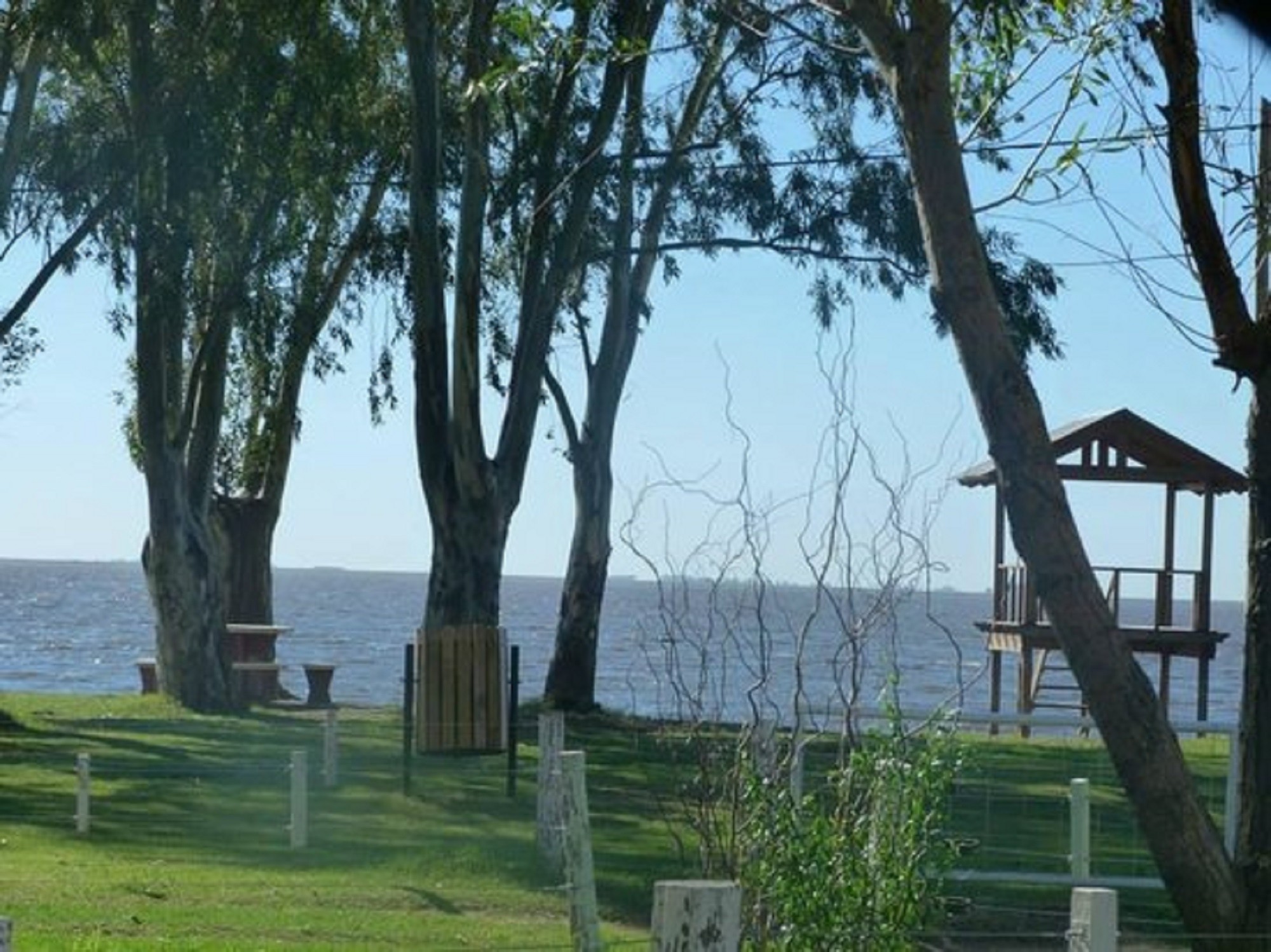 Laguna Alsina se encuentra a 400 kilómetros de la Ciudad de Buenos Aires.