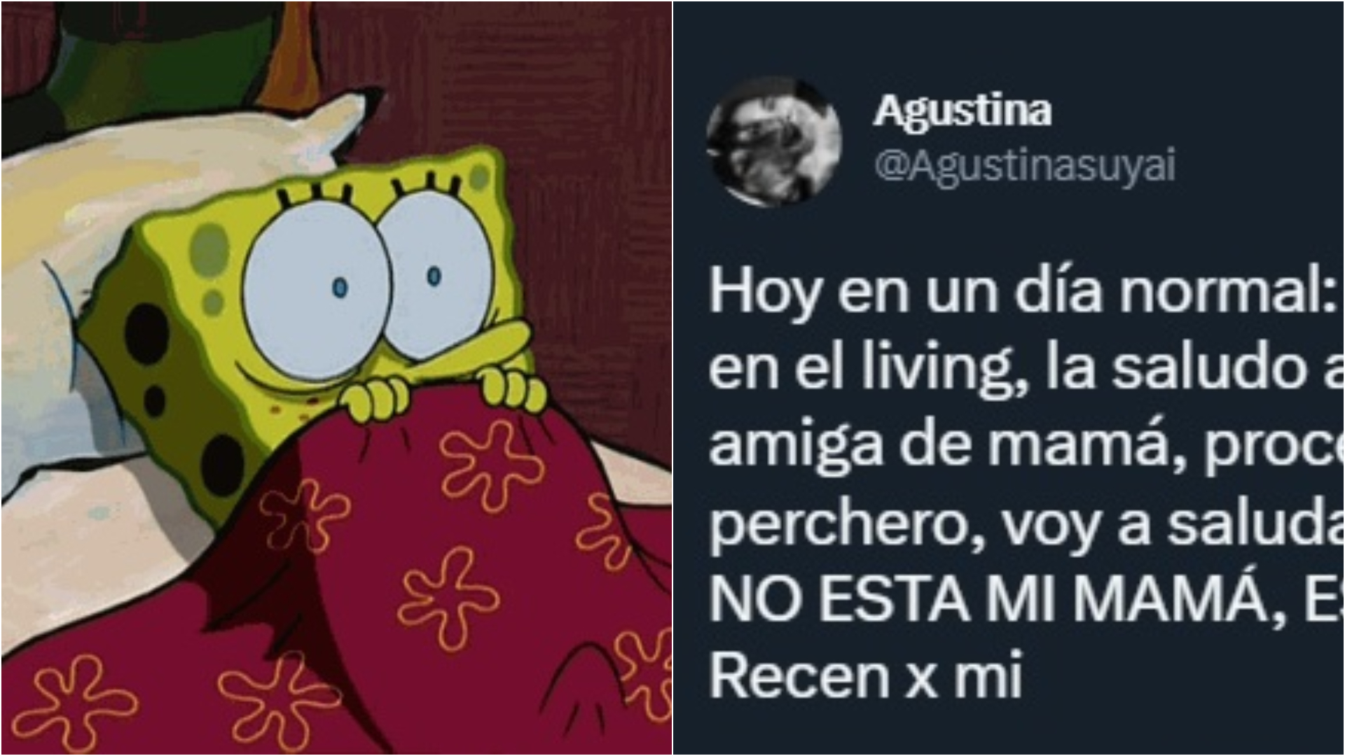 Llegó a su casa, saludó a una 