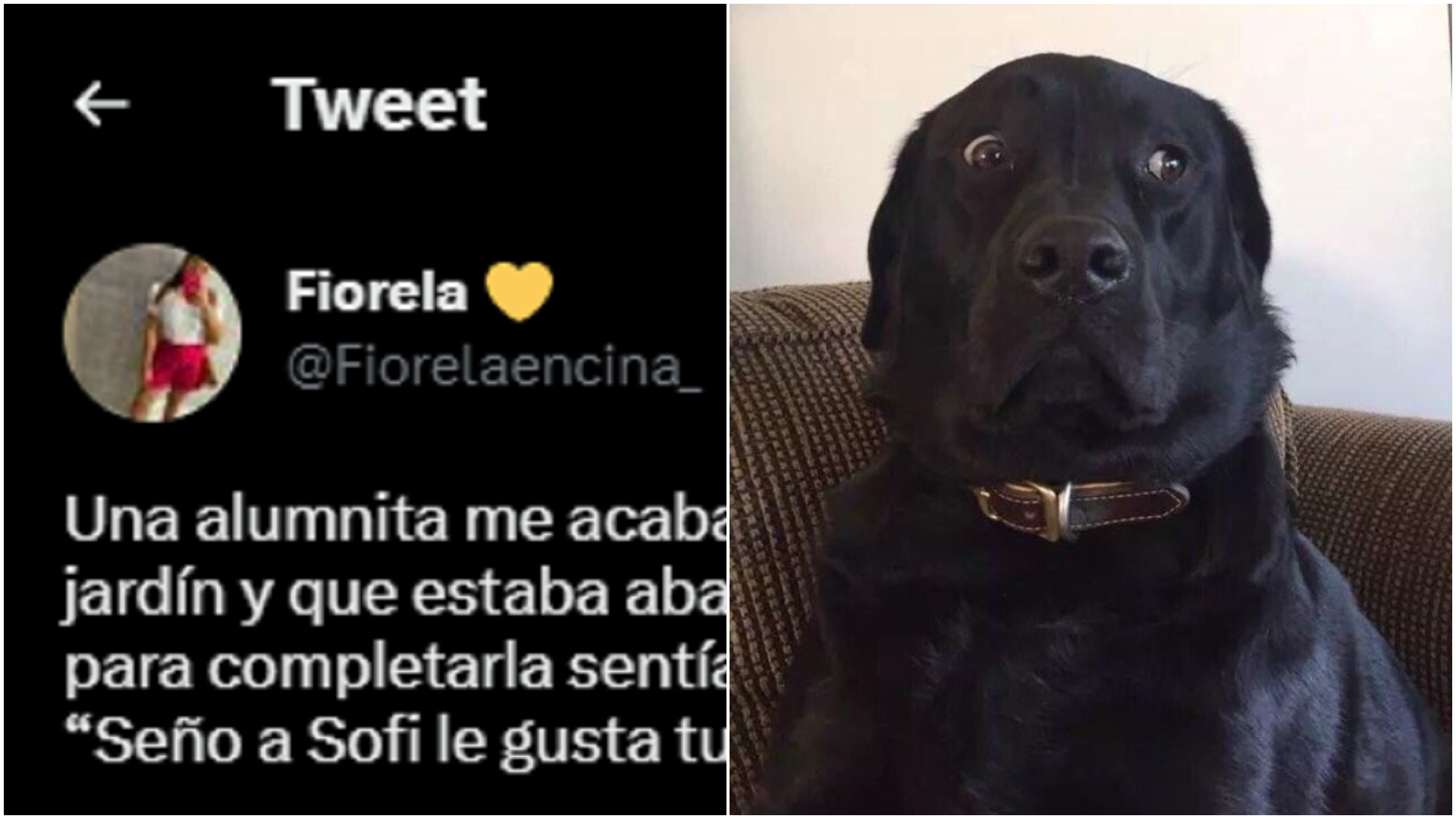 Una joven maestra compartió en Twitter la horripilante experiencia paranormal que vivió mientras daba clases.