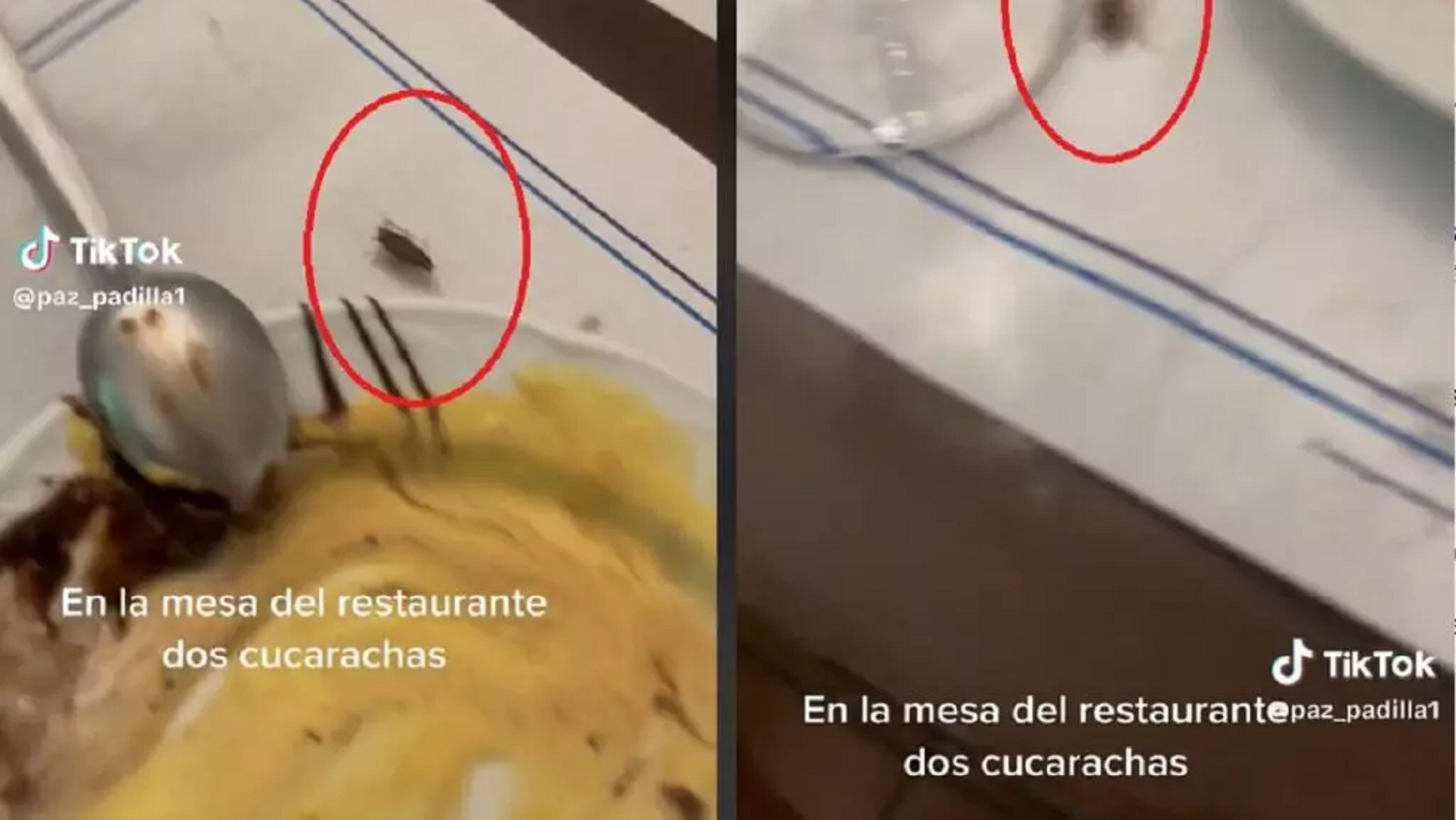 Una reconocida actriz española mostró la asquerosa situación que vivió en un restaurante: “Vámonos ya”.