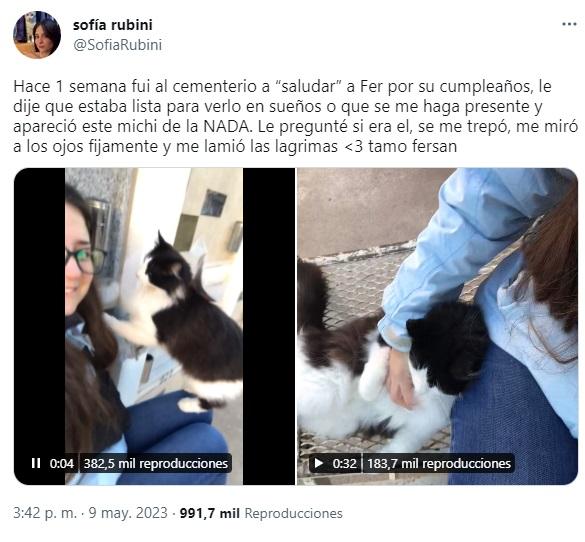 La publicación de la joven en un cementerio es viral (Twitter/@sofiarubini).