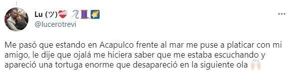 Tras la experiencia de la joven con el animal, otros usuarios contaron situaciones similares.