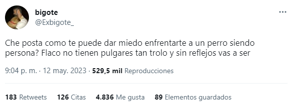 La crítica viral en Twitter que desató una ola de respuestas con experiencias dramáticas con perros. 