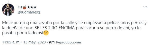 Usuarios contaron sus experiencias en Twitter tras la crítica viral hacia quienes les tienen miedo a los perros.