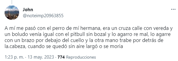 Usuarios contaron sus experiencias en Twitter tras la crítica viral hacia quienes les tienen miedo a los perros.