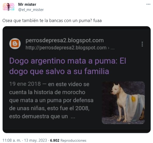 Usuarios contaron sus experiencias en Twitter tras la crítica viral hacia quienes les tienen miedo a los perros.