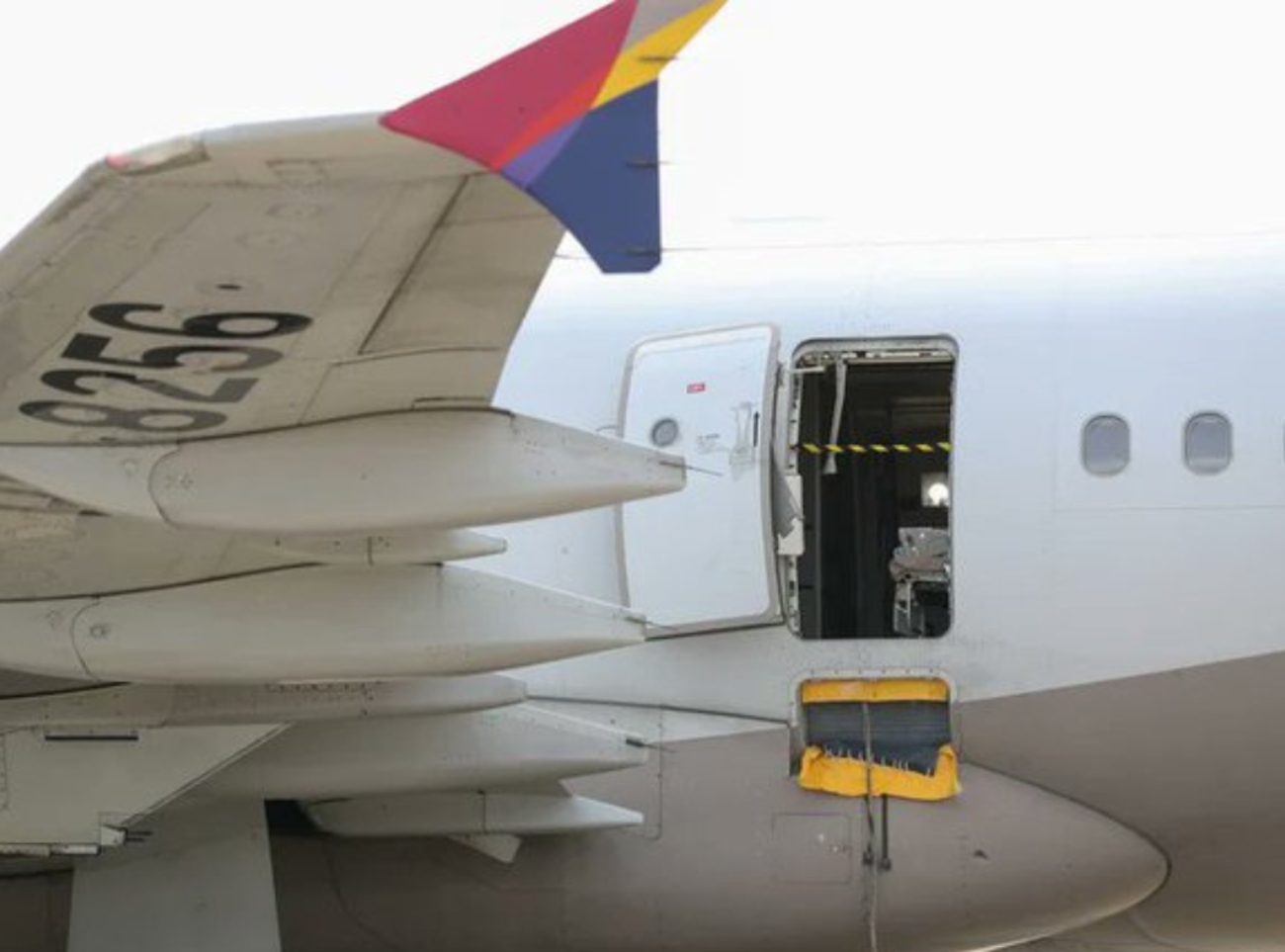 Así pasajero abrió la puerta de un avión en pleno vuelo: pánico total y una decena de heridos.