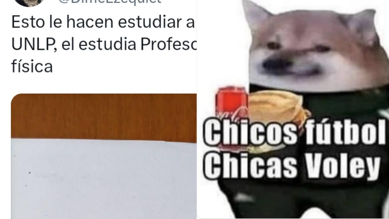 Criticó un texto que leyó su hermano en la facultad y provocó decenas de memes en Twitter.