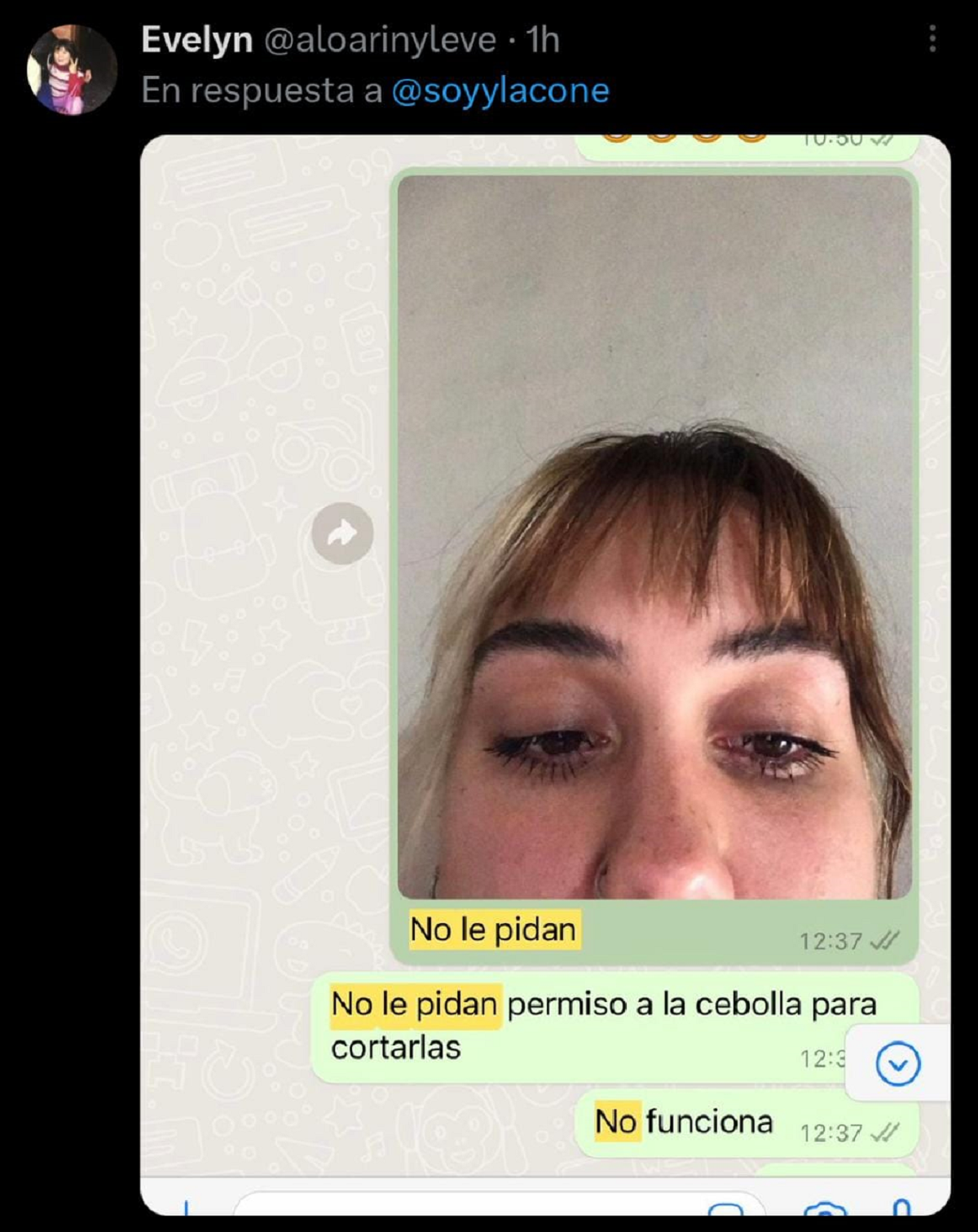 Una conversación a modo de meme que también fue adjuntada en los comentarios.