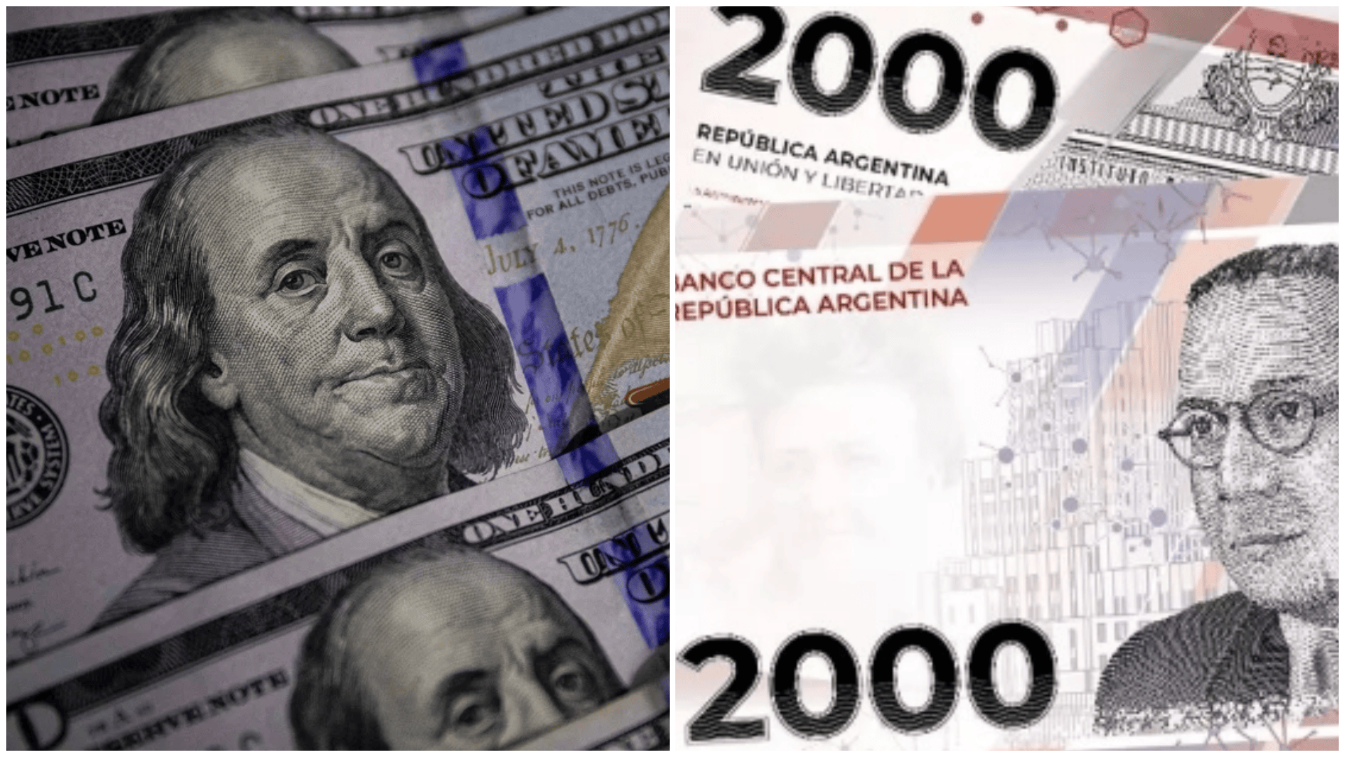 El Plazo fijo y el dólar son las opciones más utilizadas por los argentinos para resguardar sus pesos.