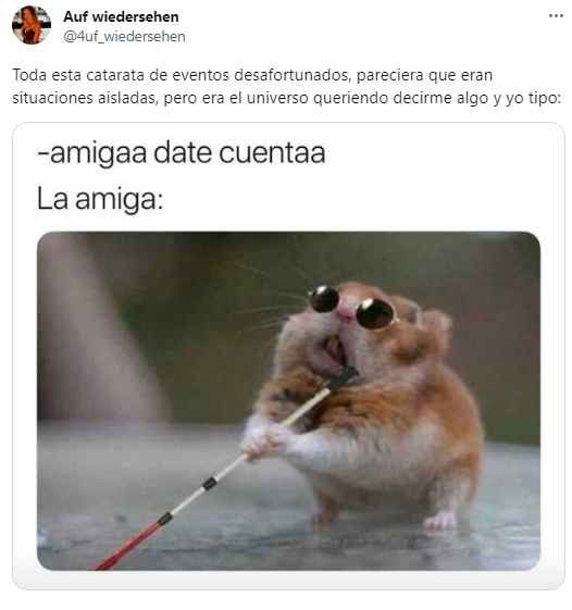   La chica acompañó el relato de la historia de infidelidad de su ex con memes y se volvió viral.  