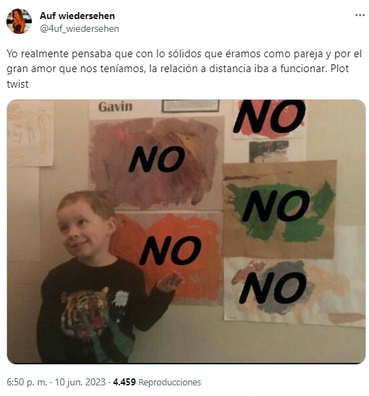   La chica acompañó el relato de la historia de infidelidad de su ex con memes y se volvió viral.  