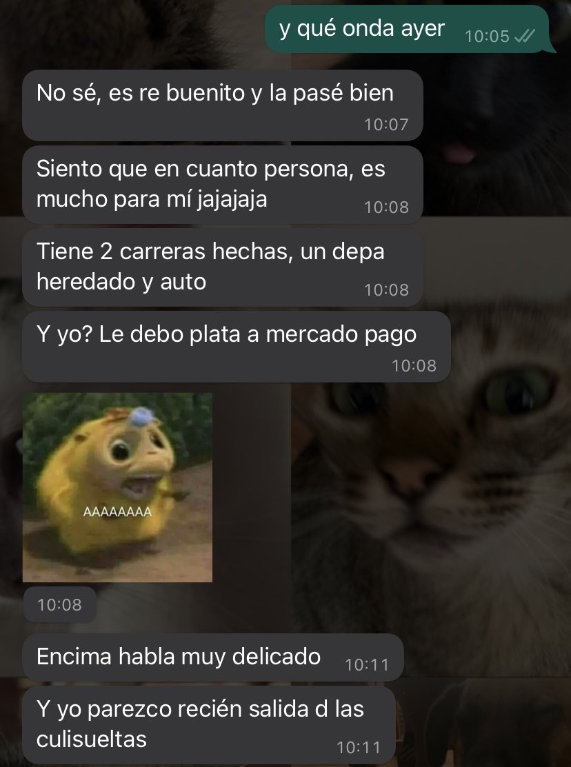 Chat viral