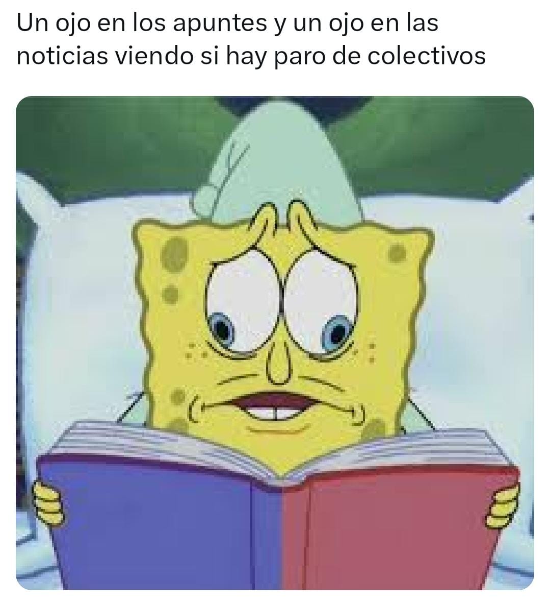 Se levantó el paro de colectivos y estallaron los memes (Twitter).