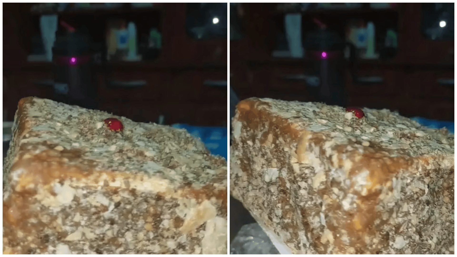 Una piba es viral por la insólita torta que compró y decepcionó a todos (TikTok/@azu.pletenchuk).