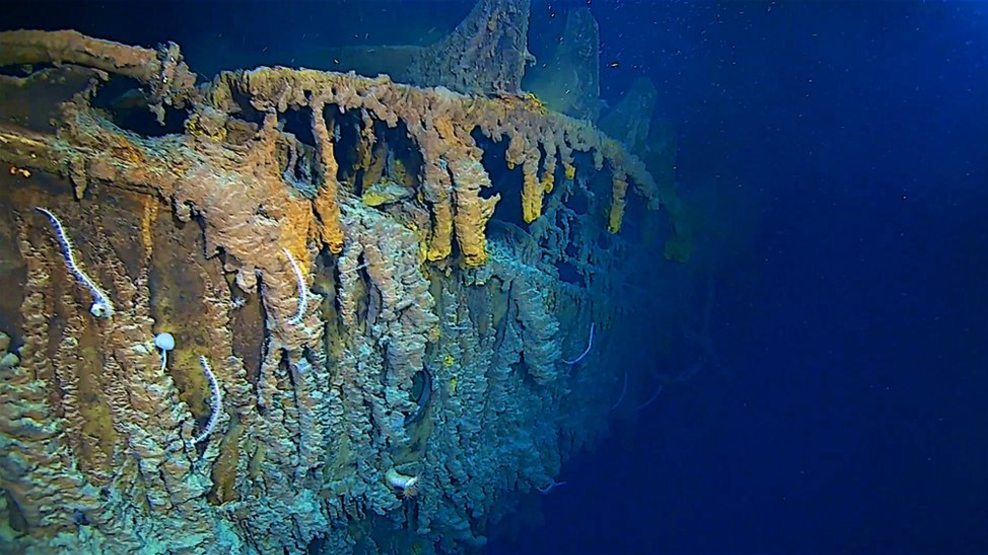 Hay turistas que pagan 250 mil dólares por ir a ver el Titanic.