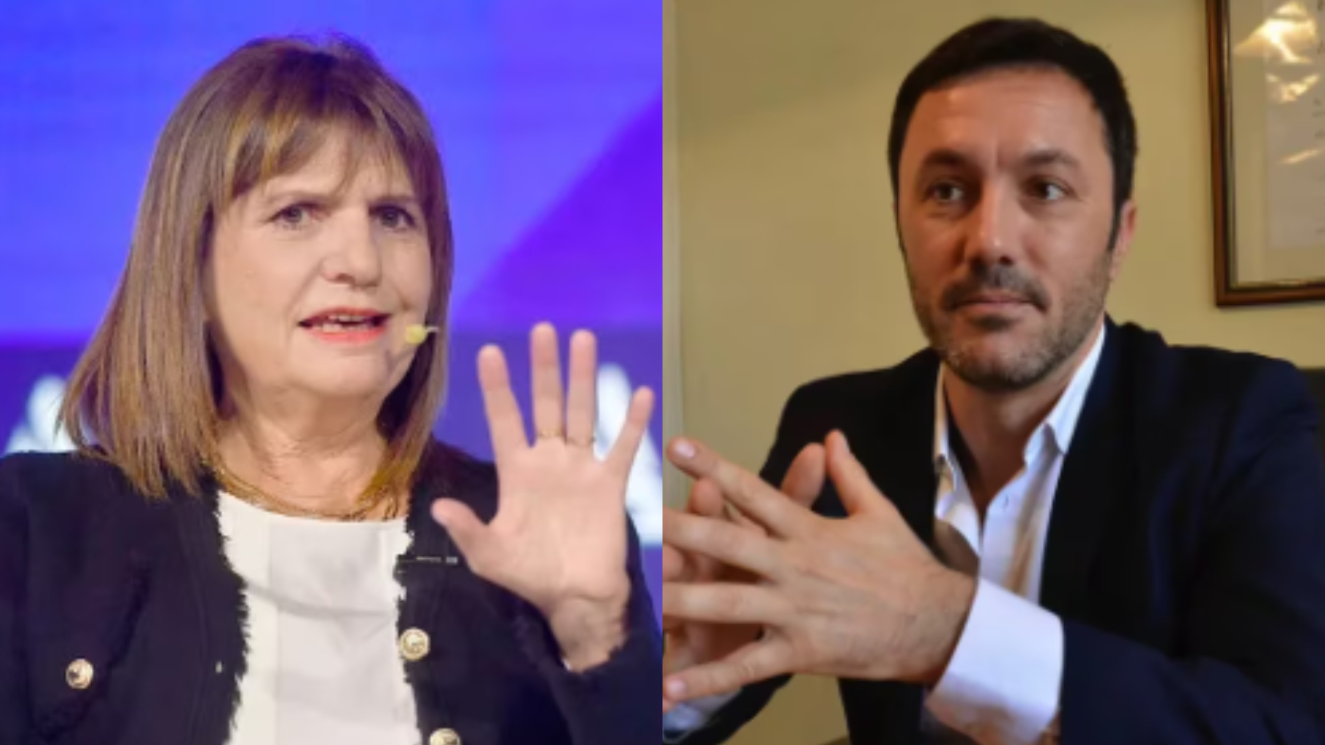 Patricia Bullrich eligió a Luis Petri como candidato a vicepresidente